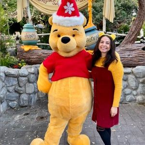 Hollister Burgundy Corduroy Overall Dress Size Small